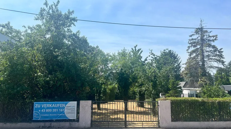 Grundstück mit 'Zu Verkaufen'-Schild, umgeben von Bäumen und einem Zaun an einer Straße.