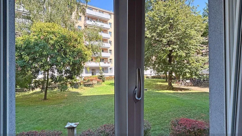 Blick aus dem Fenster auf einen grünen Innenhof mit Bäumen und einem Wohngebäude im Hintergrund.