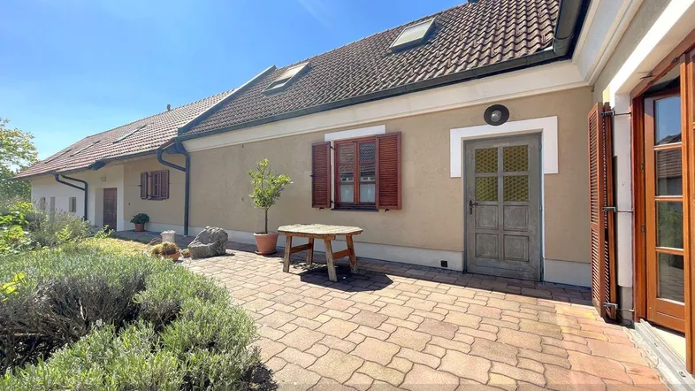 Sonniger Außenbereich mit gepflasterter Terrasse, umgeben von mediterranen Pflanzen und einem Holztisch.
