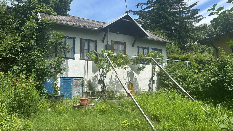 Altes Haus mit weißer Fassade, blauen Fensterrahmen und einem verwilderten Garten.