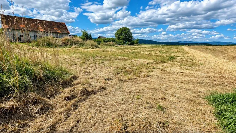 Weites Feld mit einem alten Gebäude im Hintergrund unter einem blauen Himmel mit Wolken.