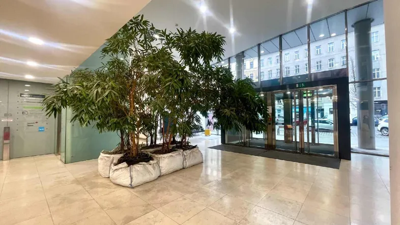 Helle und geräumige Lobby mit Marmorboden, großen Pflanzen und Glasfassade zum Eingangsbereich.