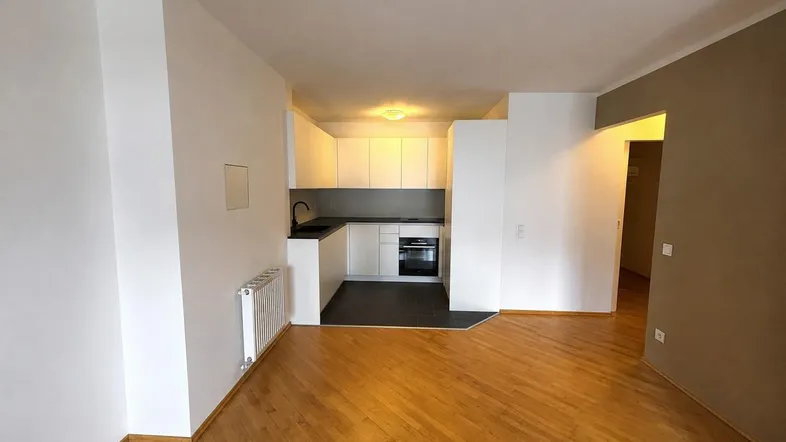 Helles Wohnzimmer mit integrierter Küchenzeile, Parkettboden und Heizkörper.