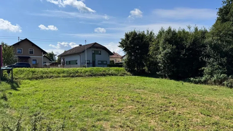 Grüne Wiese mit Wohnhäusern und Bäumen im Hintergrund unter blauem Himmel.