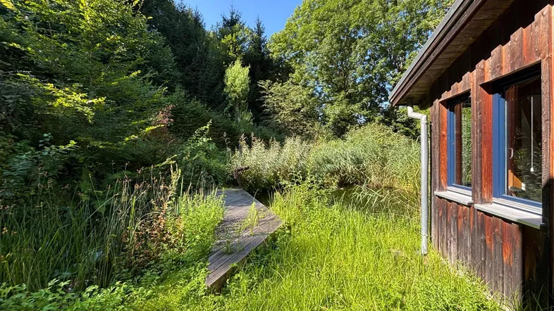 Holzverkleidetes Gebäude umgeben von üppiger, grüner Natur und einem kleinen Holzsteg.