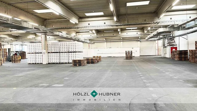 Geräumige Lagerhalle mit hohen Decken, Betonboden und Tageslicht durch Oberlichter.