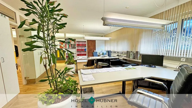 Großes, helles Büro mit mehreren Arbeitsplätzen, Pflanzen und Aktenschränken, ideal für ein Team.