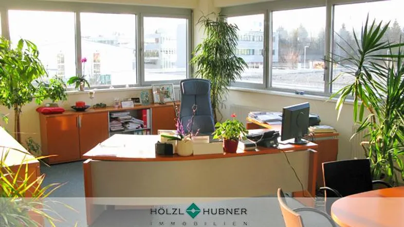 Helles Büro mit großen Fenstern, die viel Tageslicht hereinlassen, und mehreren Pflanzen für eine angenehme Arbeitsatmosphäre.