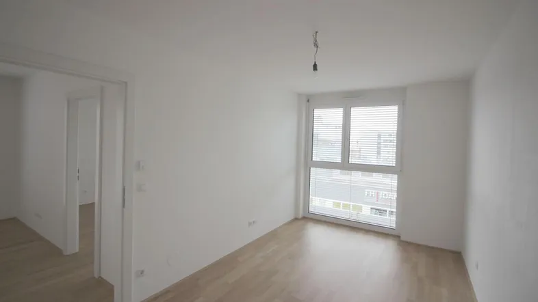 Zimmer-2