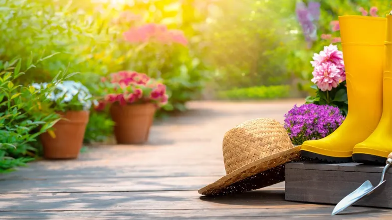 Symbolbilder_AdobeStock_VENTA_10