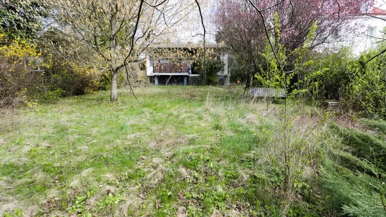 Großer Gartenbereich mit viel Grün und Blick auf das Haus mit Balkon im Hintergrund.