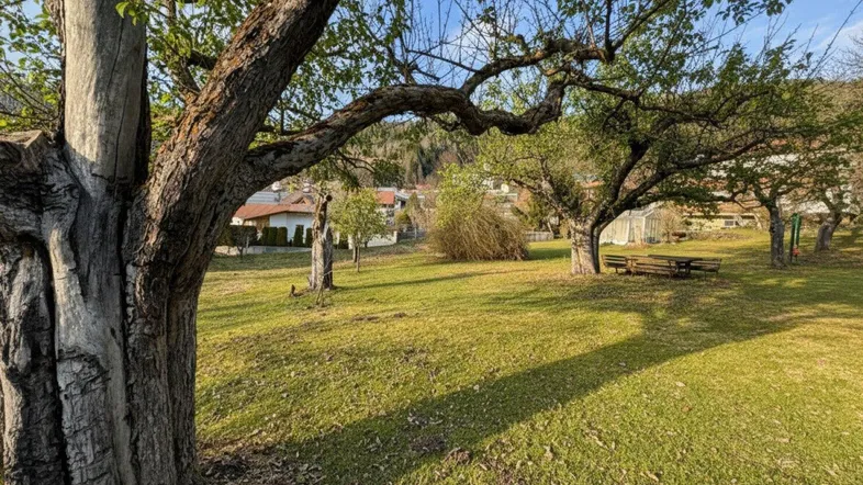 Großer, sonniger Garten mit alten Obstbäumen und einem Picknicktisch, umgeben von ländlicher Idylle.