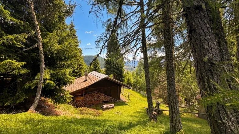 Traditionelles Holzchalet eingebettet in eine malerische Berglandschaft mit üppigen Wäldern und blauem Himmel.