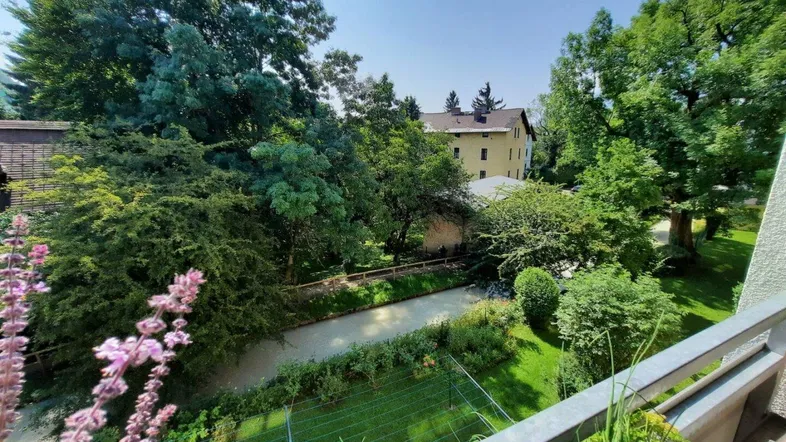 Grüner Ausblick von einem Balkon mit üppiger Vegetation und einem Gebäude im Hintergrund.