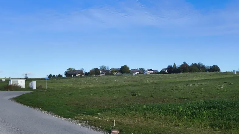 Weite grüne Felder mit vereinzelten Häusern am Horizont unter blauem Himmel und einer Zufahrtsstraße.
