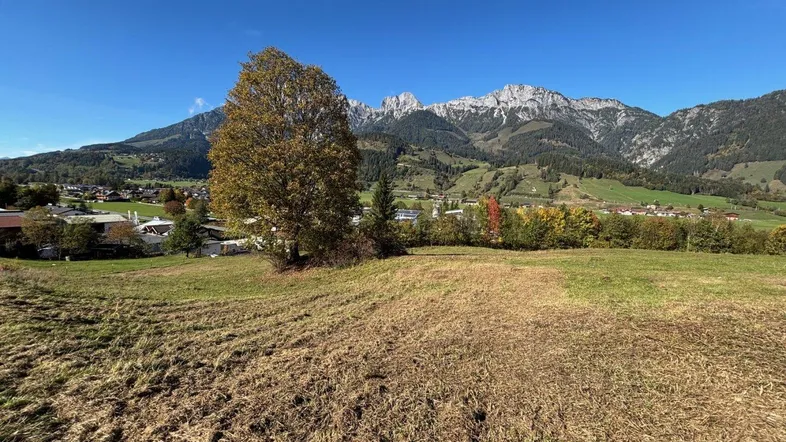 Weitläufige Landschaft mit grünen Feldern, Bäumen und majestätischen Bergen im Hintergrund unter blauem Himmel.