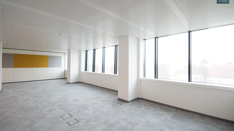 Geräumiges, unmöbliertes Büro mit großen Fenstern, Teppichboden und abgehängter Decke.