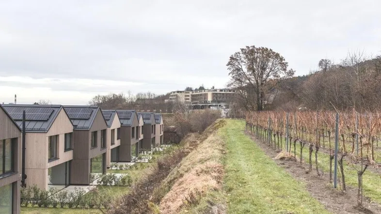 Moderne Reihenhäuser mit Photovoltaikanlagen und Blick auf einen Weinberg unter bewölktem Himmel.