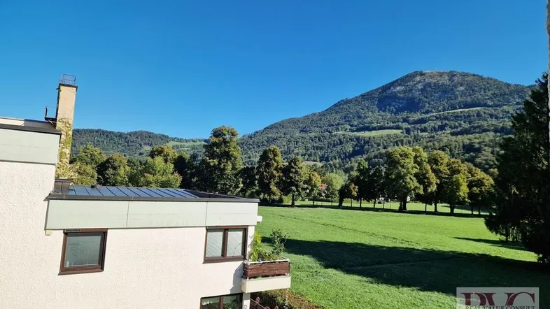 Aussicht Bild 1