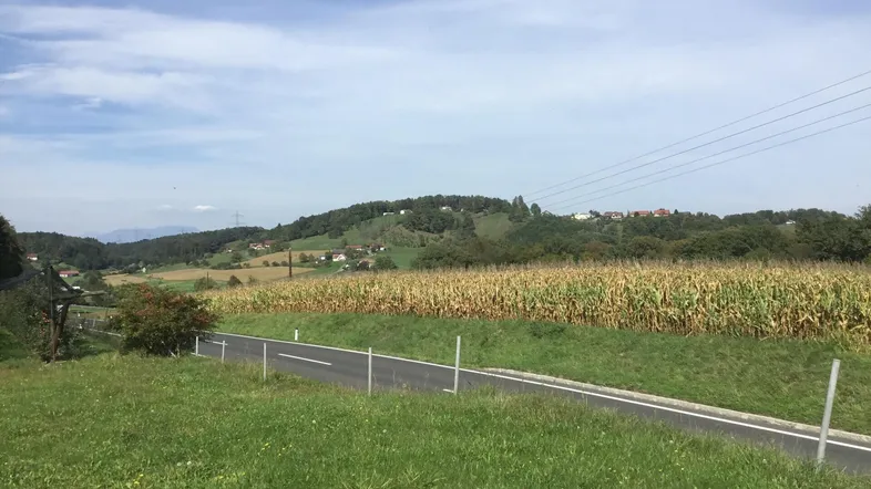 Ländliche Landschaft mit einer Straße, grünen Feldern und bewaldeten Hügeln unter blauem Himmel.