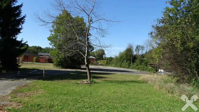 Offenes Gelände mit Grasflächen, Bäumen und einem asphaltierten Bereich unter blauem Himmel.