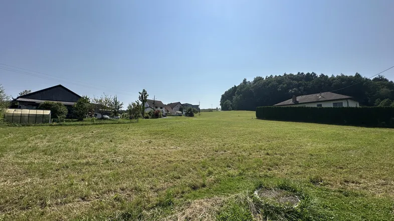 Weitläufiges grünes Grundstück mit umliegenden Häusern und Bäumen unter blauem Himmel.