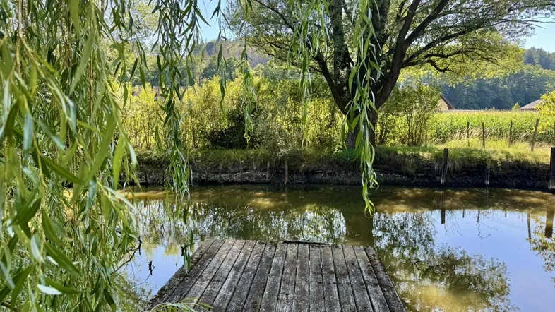 idyllische Oase