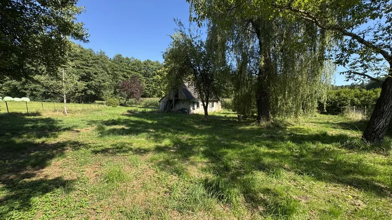 idyllische Oase mit altem Baumbestand