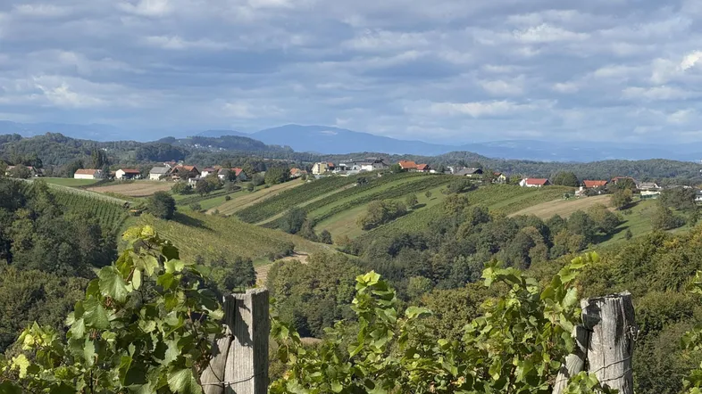 Panoramablick über sanfte Hügel mit Weinbergen und kleinen Siedlungen unter bewölktem Himmel.