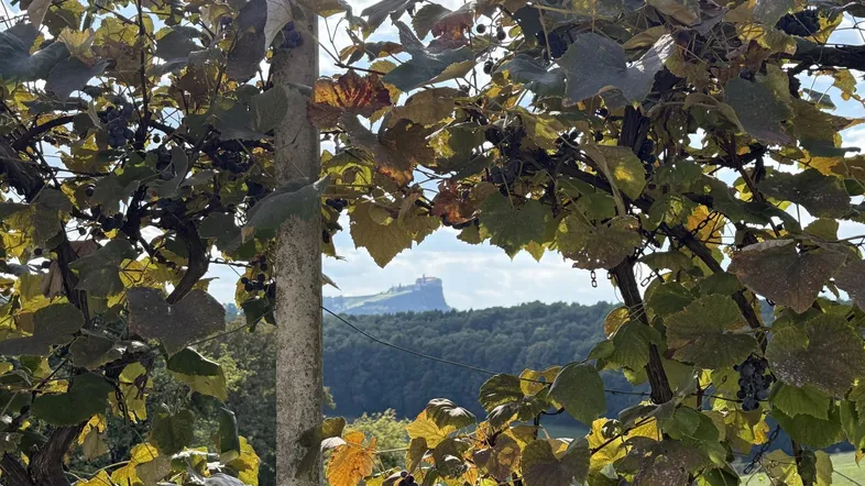 Ausblick vor dem Haus