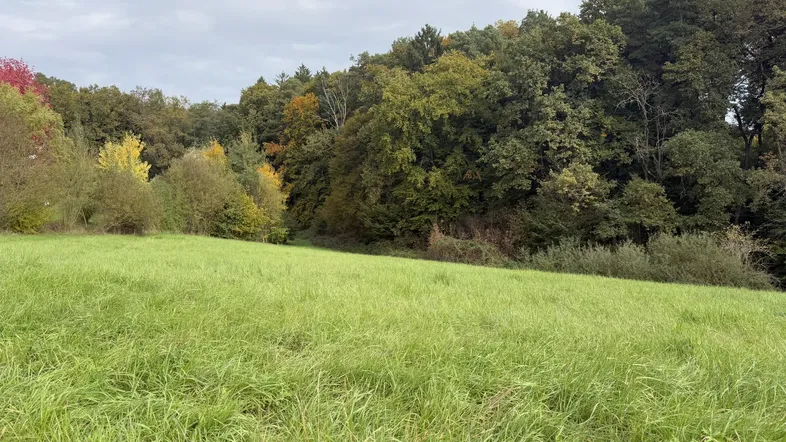 Grundstück