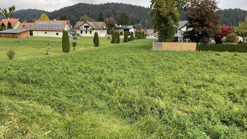 Weitläufiges grünes Grundstück mit Blick auf umliegende Wohnhäuser und bewaldete Hügel.