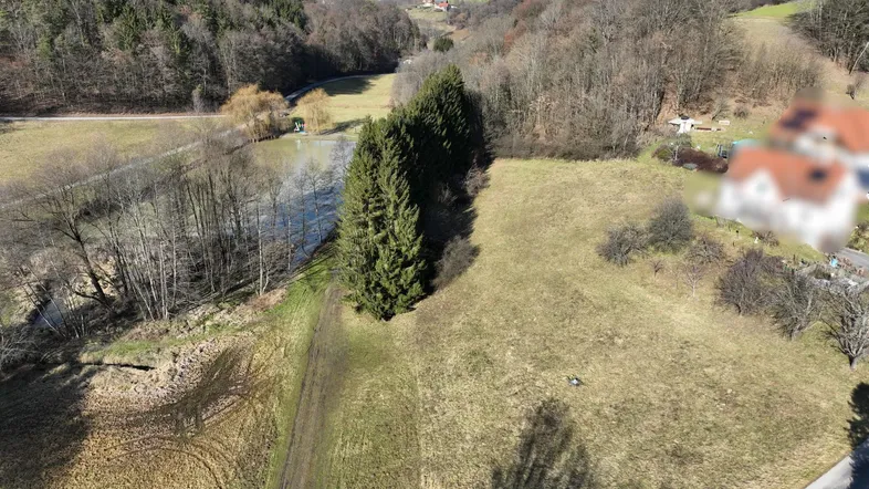 Luftaufnahme eines weitläufigen Grundstücks mit angrenzendem Wald, einem Gewässer und ländlicher Umgebung.