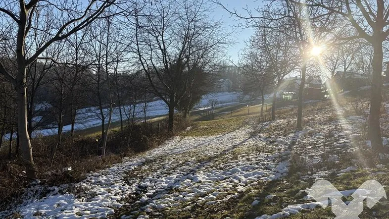 Winterliche Landschaft mit schneebedecktem Gras und kahlen Bäumen unter strahlender Sonne.