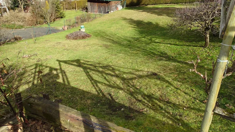 Sonniger Gartenbereich mit Rasenfläche und Schattenwurf von Bäumen am Nachmittag.