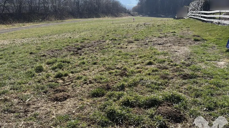 Weitläufiges Grundstück mit Grasfläche, umgeben von Bäumen und mit Blick auf die Landschaft.