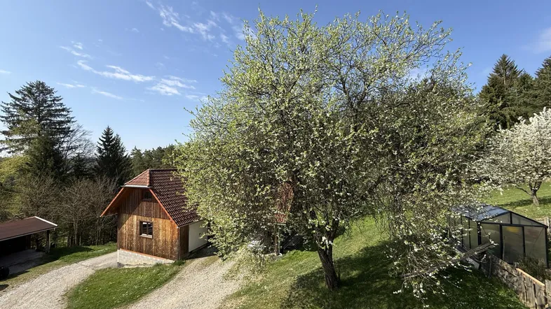 Kleines Holzhaus mit Gewächshaus in einer grünen, ländlichen Umgebung unter blauem Himmel.