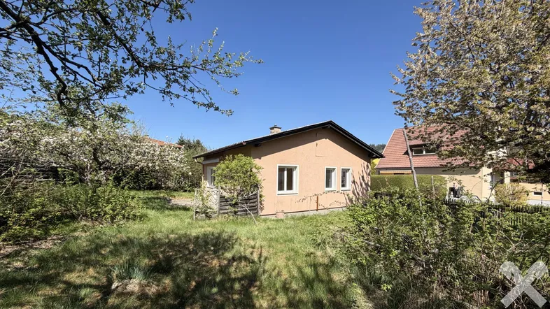 Einfamilienhaus mit großem Garten und blühenden Bäumen unter blauem Himmel.