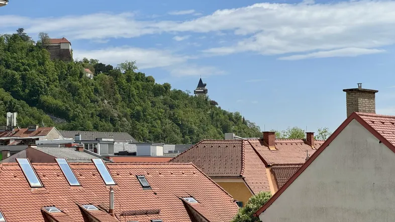 Blick über die Dächer der Stadt auf einen grünen Hügel mit historischem Uhrturm.