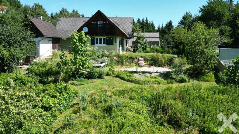 Ansicht des Hauses von der Wiese aus, umgeben von üppiger Vegetation und Bäumen.