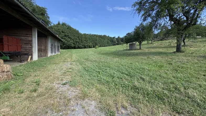 Weitläufiges Feld mit Scheune und Bäumen unter klarem blauem Himmel, ideal für ländliches Wohnen.