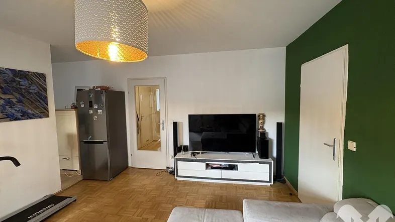 Wohnzimmer mit Sofa, Fernseher und einem Kühlschrank im Hintergrund, akzentuiert durch eine grüne Wand.