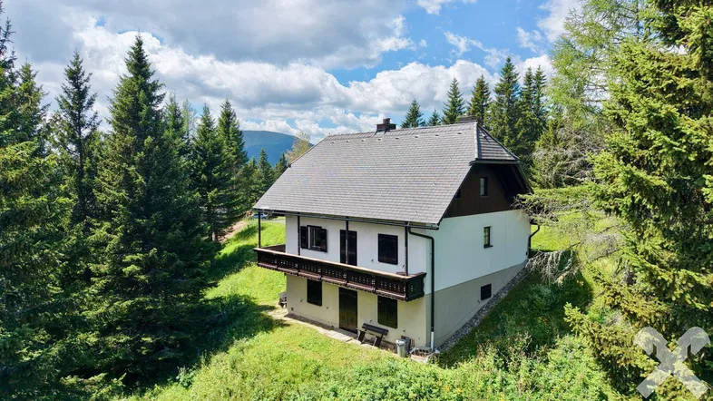 Traditionelles Haus in alpiner Umgebung, umgeben von Nadelbäumen und grünen Wiesen.