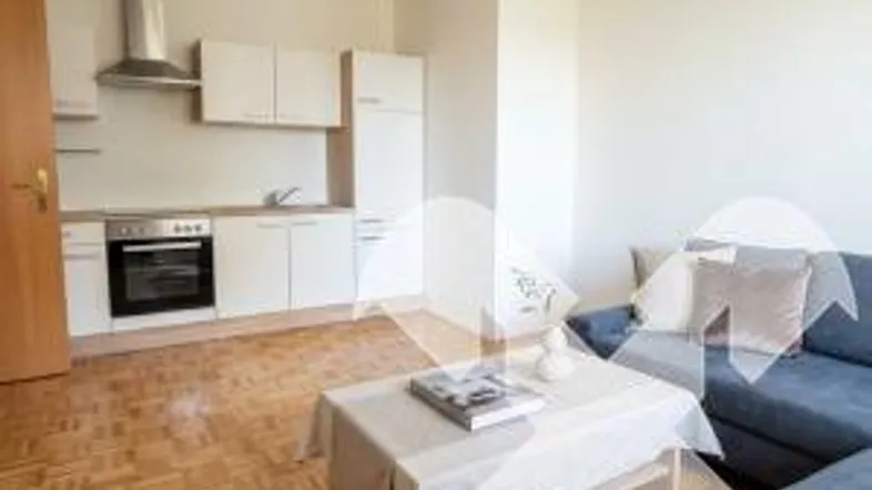 Helles Wohnzimmer mit integrierter Küche, Parkettboden und blauer Couch.