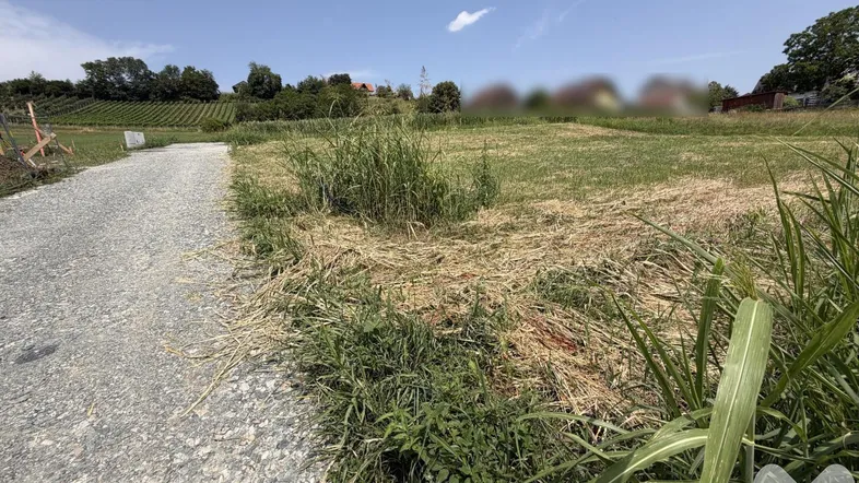 01 Grundstück mit Zufahrtsweg