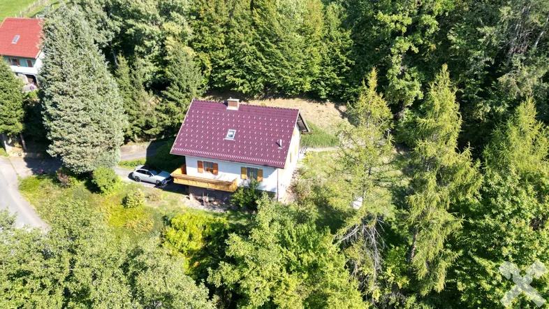 Luftaufnahme eines Einfamilienhauses mit rotem Dach, umgeben von üppiger grüner Natur und Bäumen.