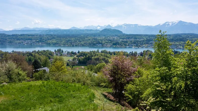 Panoramablick auf einen See mit umliegenden Häusern, grünen Hügeln und schneebedeckten Bergen im Hintergrund.