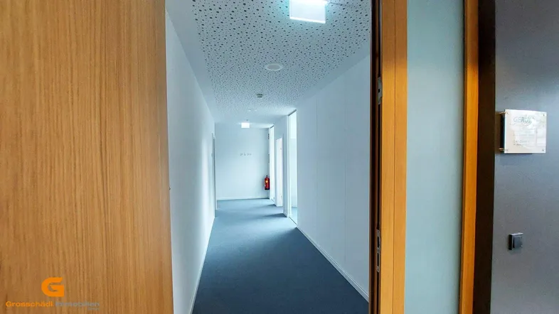 Langer, heller Flur mit blauem Teppichboden, weißen Wänden und einer perforierten Decke.