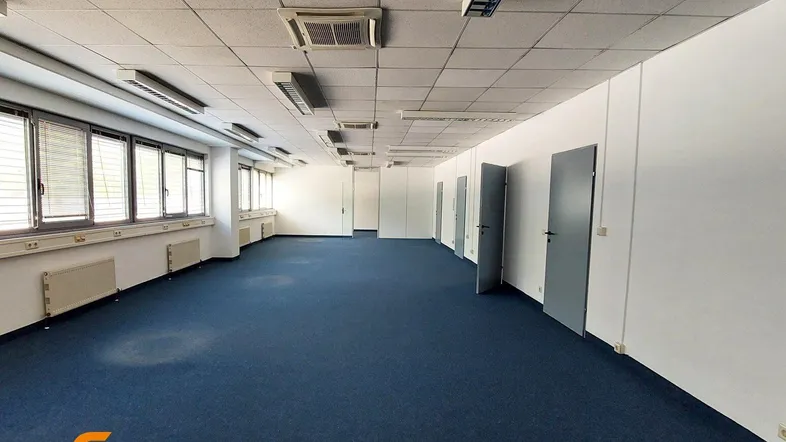 Geräumiges, leeres Büro mit blauem Teppichboden, vielen Fenstern und abgehängter Decke, bereit zur Nutzung.