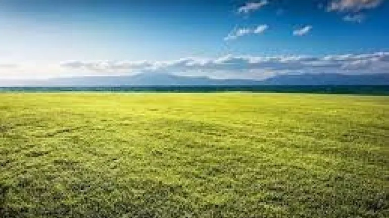 Weites grünes Feld erstreckt sich bis zu einem Gewässer mit fernen Bergen unter einem blauen Himmel.